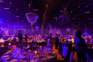 LED Star Drop / Star Curtains Background with Beaded Chandeliers From Turn of Events Las Vegas Rental Drapery